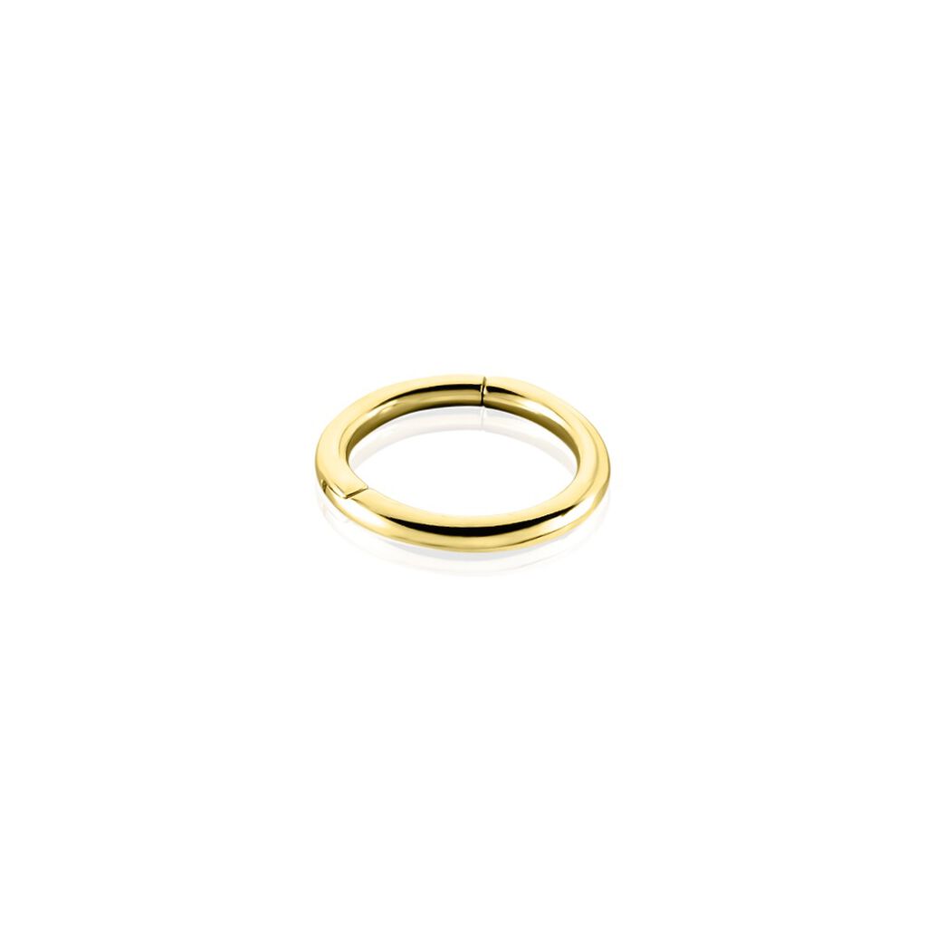 Piercing D'oreille Or Jaune Aloes - Bijoux Femme | Histoire d’Or