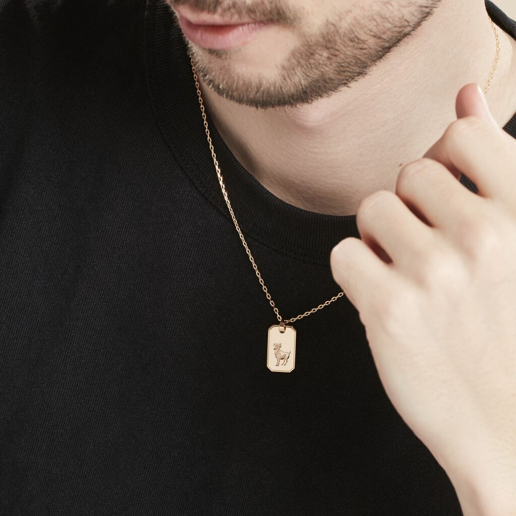 Collier Plaqué Or Quintien - Colliers Zodiaque Homme | Histoire d’Or