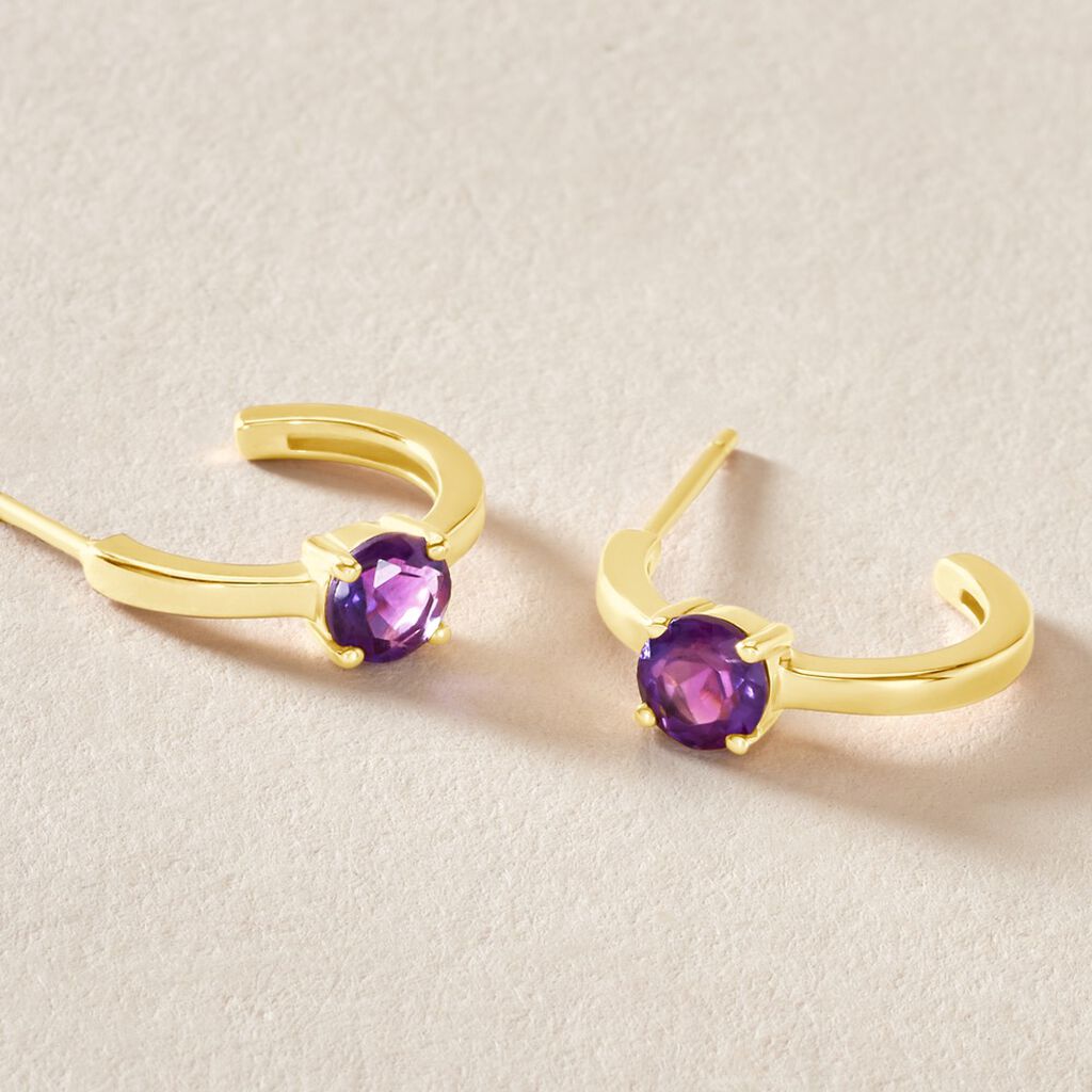 Cr&eacute;oles Nottingham Or Jaune Am&eacute;thyste - Boucles d'oreilles cr&eacute;oles Famille | Histoire d&rsquo;Or