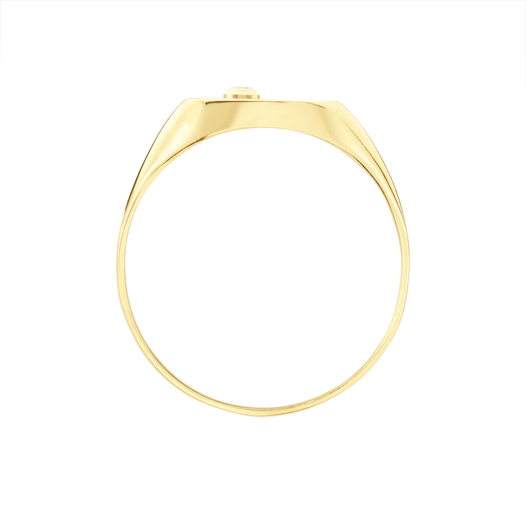 Chevali&egrave;re Glynn Or Jaune Onyx Diamant - Bagues solitaires Homme | Histoire d&rsquo;Or