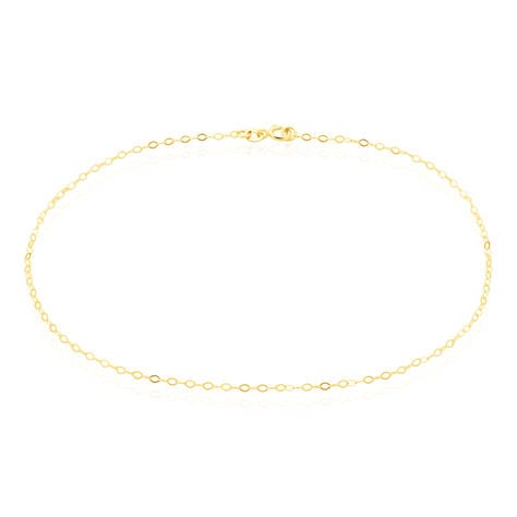 Chaîne De Cheville Fiorbes Or Jaune - Chaînes de cheville Femme | Histoire d’Or