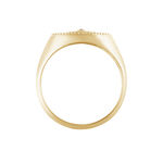 Chevali&egrave;re Gabia Plaqu&eacute; Or Jaune Oxyde De Zirconium - Bagues solitaires Femme | Histoire d&rsquo;Or