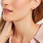 Boucles D'oreilles Puces Foliora Or Jaune - Clous d'oreilles Femme | Histoire d&rsquo;Or