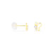 Boucles D'oreilles Puces Evaelle Papillon Or Jaune Oxyde De Zirconium - Clous d'oreilles Femme | Histoire d’Or