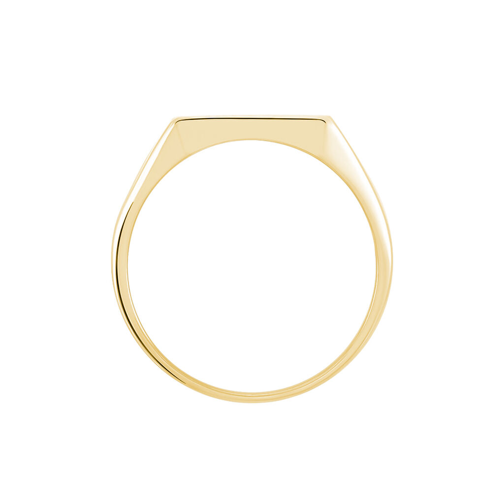 Chevali&egrave;re Lionel Plaqu&eacute; Or Jaune - Chevali&egrave;res Homme | Histoire d&rsquo;Or