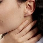 Boucles D'oreilles Puces Eleanor Fleur Or Jaune Oxyde De Zirconium - Clous d'oreilles Famille | Histoire d&rsquo;Or