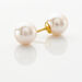 Boucles D'oreilles Puces Akoya Or Jaune Perle De Culture D'akoya