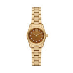 Montre Michael Kors Petite Lexington Marron - Montres Femme | Histoire d&rsquo;Or