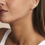 Boucles D'oreilles Puces Argent Rose Rio Santa Teresa Oxyde - Boucles d'oreilles fantaisie Femme | Histoire d&rsquo;Or