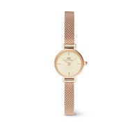 Montre Daniel Wellington Petite Mini Champagne