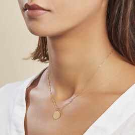 Pendentif Lamie Zodiaque Or Jaune - Pendentifs Zodiaque Famille | Histoire d’Or