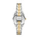 Montre Fossil Scarlette Mini Vert - Montres Femme | Histoire d’Or