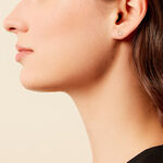 Boucles D'oreilles Puces Hartwin Or Jaune - Clous d'oreilles Famille | Histoire d&rsquo;Or