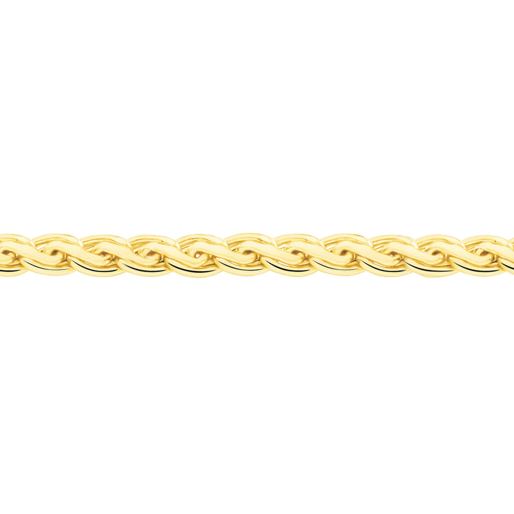 Collier Jayna Maille Palmier Or Jaune - Chaines Femme | Histoire d’Or
