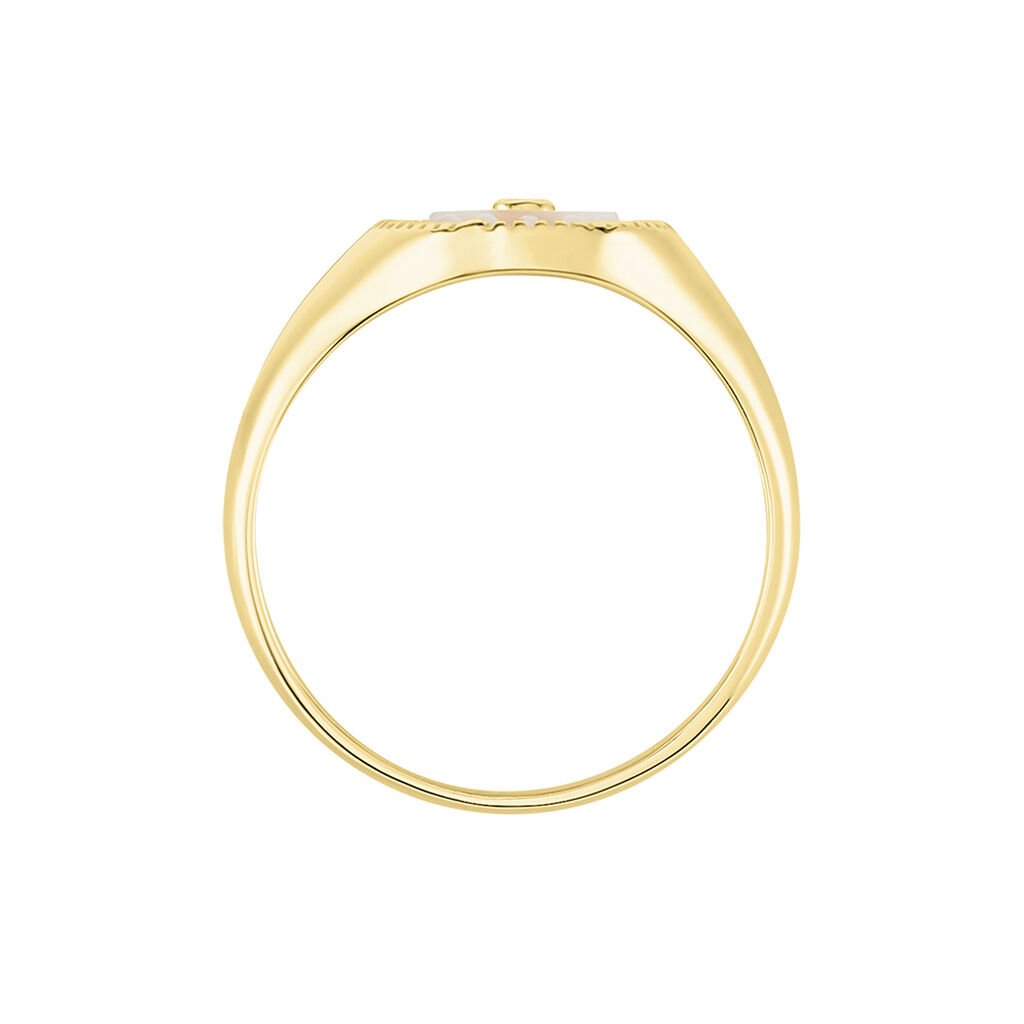 Chevali&egrave;re Goddess Argent Dor&eacute; Nacre Oxyde De Zirconium - Bagues solitaires Femme | Histoire d&rsquo;Or