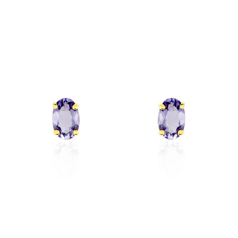 Boucles D'oreilles Puces Elea Serti Griffe Or Jaune Amethyste - Clous d'oreilles Femme | Histoire d’Or