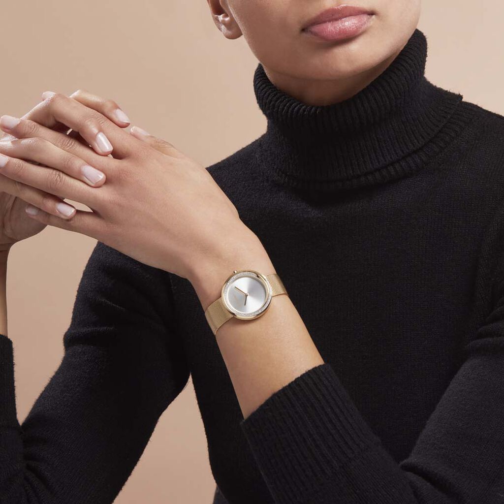 Montre Calvin Klein Twist Argenté - Montres Femme | Histoire d’Or