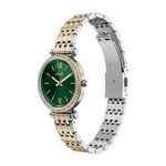 Montre Fossil Carlie Mini Vert - Montres Femme | Histoire d&rsquo;Or