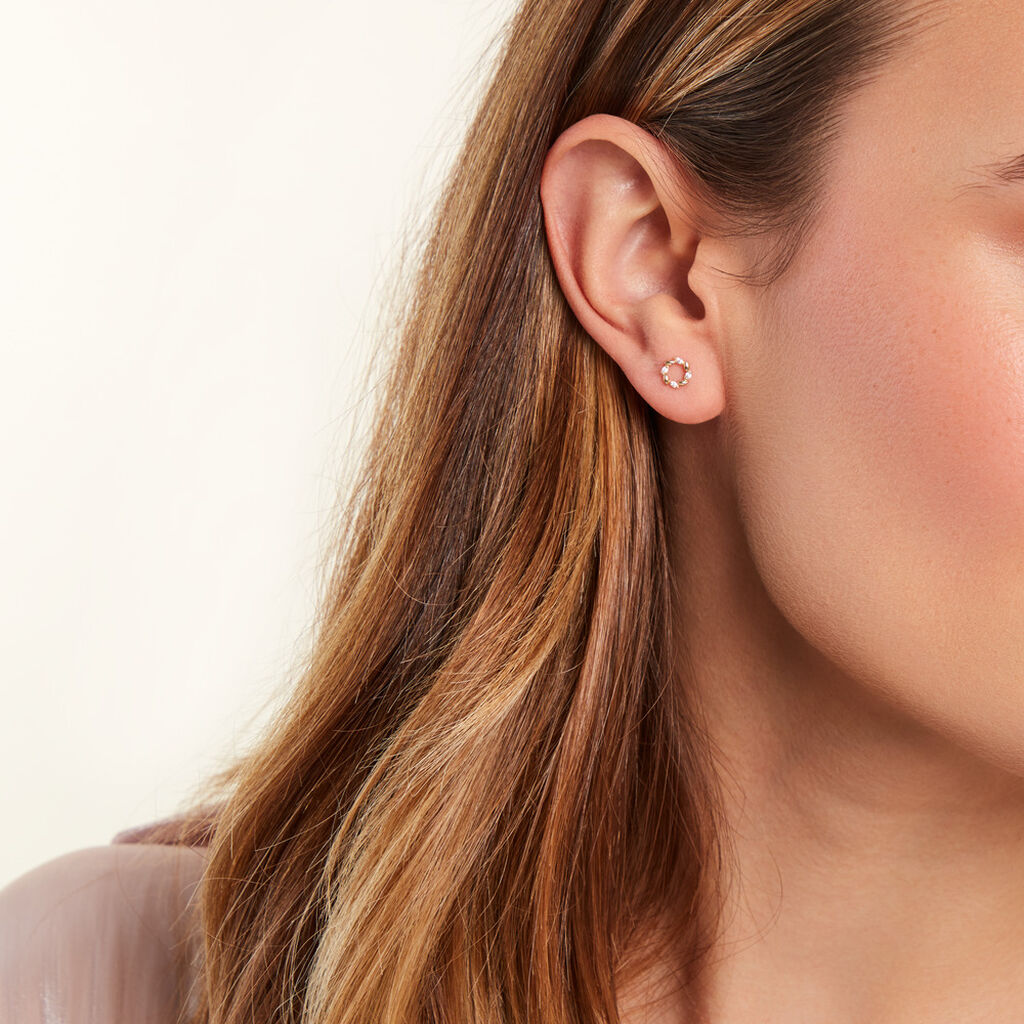 Boucles D'oreilles Puces Reed Or Jaune Oxyde De Zirconium - Clous d'oreilles Femme | Histoire d’Or