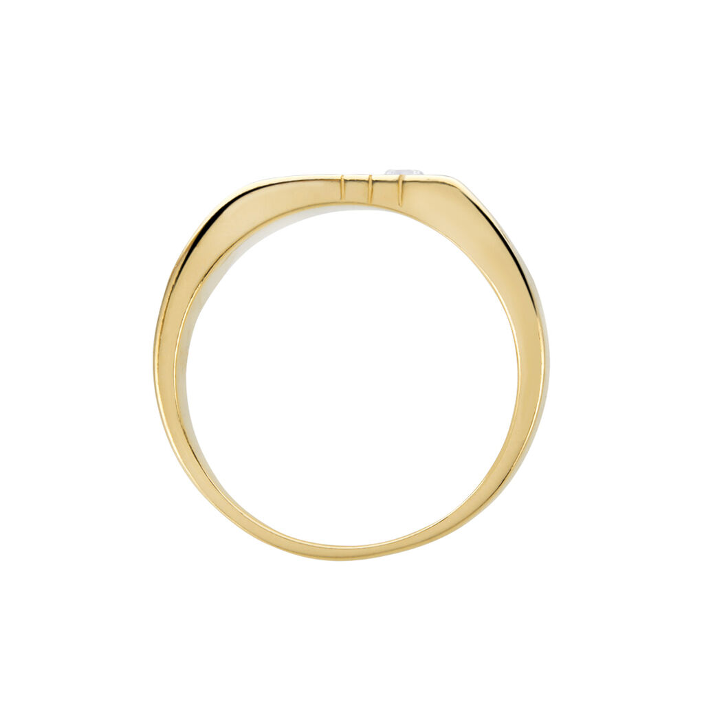 Chevalière Plaqué Or Jaune Alec Oxyde De Zirconium - Chevalières Homme | Histoire d’Or