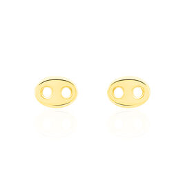 Boucles D'oreilles Puces Cara Grain De Cafe Or Jaune - Clous d'oreilles Femme | Histoire d’Or