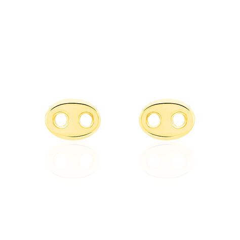 Boucles D'oreilles Puces Cara Grain De Cafe Or Jaune - Clous d'oreilles Femme | Histoire d’Or