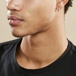 Cr&eacute;ole Unitaire Agavie Or Blanc - Boucles d'oreilles cr&eacute;oles Famille | Histoire d&rsquo;Or