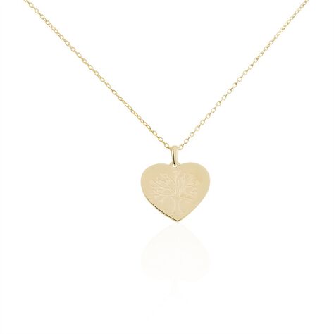 Collier Rauline Plaqué Or Jaune - Colliers Coeur Femme | Histoire d’Or