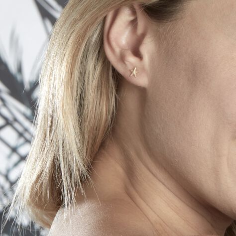 Boucles D'oreilles Or Jaune Aenor Puces - Clous d'oreilles Femme | Histoire d’Or
