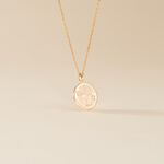 Collier Iago Plaqu&eacute; Or Oxydes De Zirconium - Colliers Zodiaque Femme | Histoire d&rsquo;Or