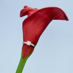 Bijoux diamant